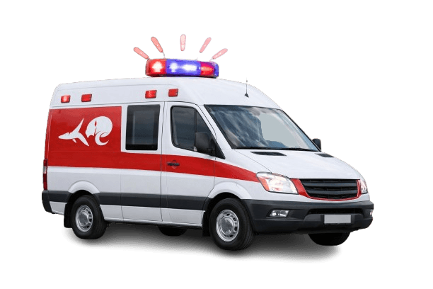 Step 3: Emergency help is dispatched – ambulance, police, or family notified